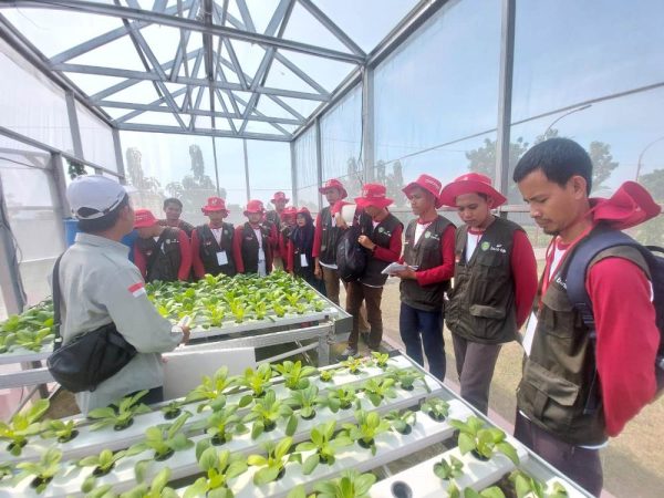 Pelatihan 1000 petani muda Indramayu, harapan menuju pertanian yang maju, mandiri dan modern